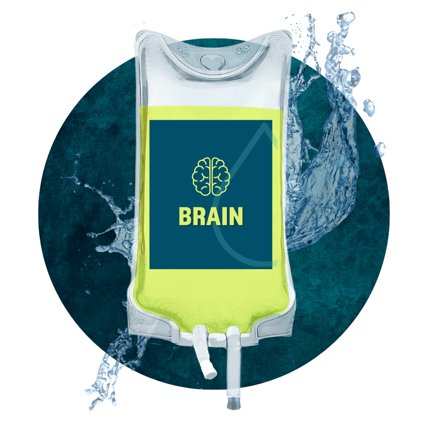 Brain